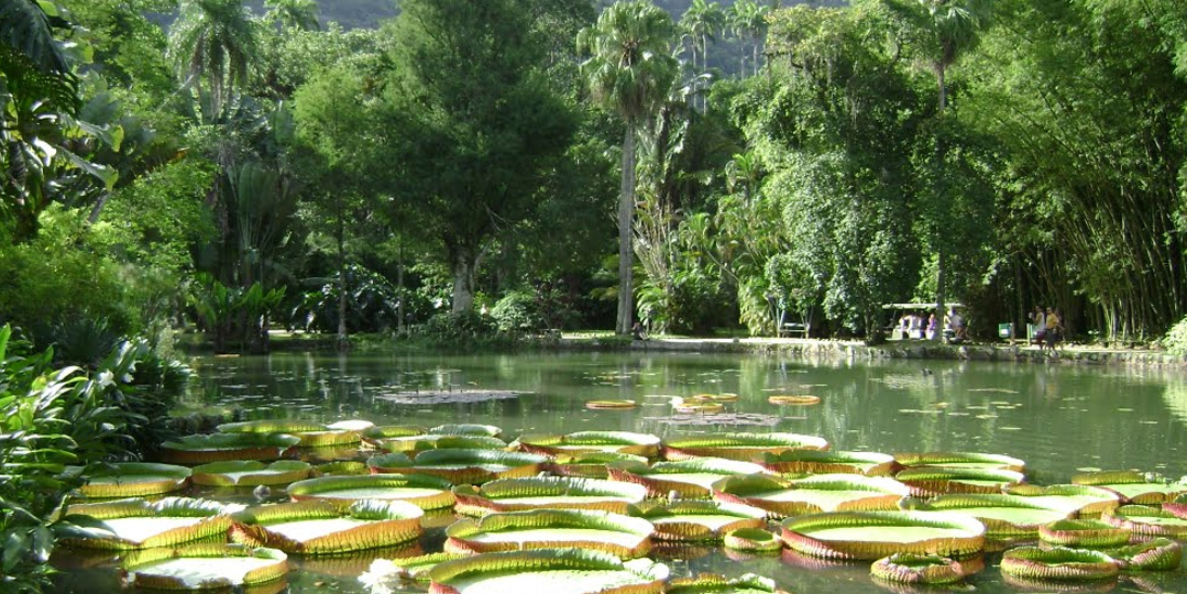 Jardim Botânico Rio de Janeiro
